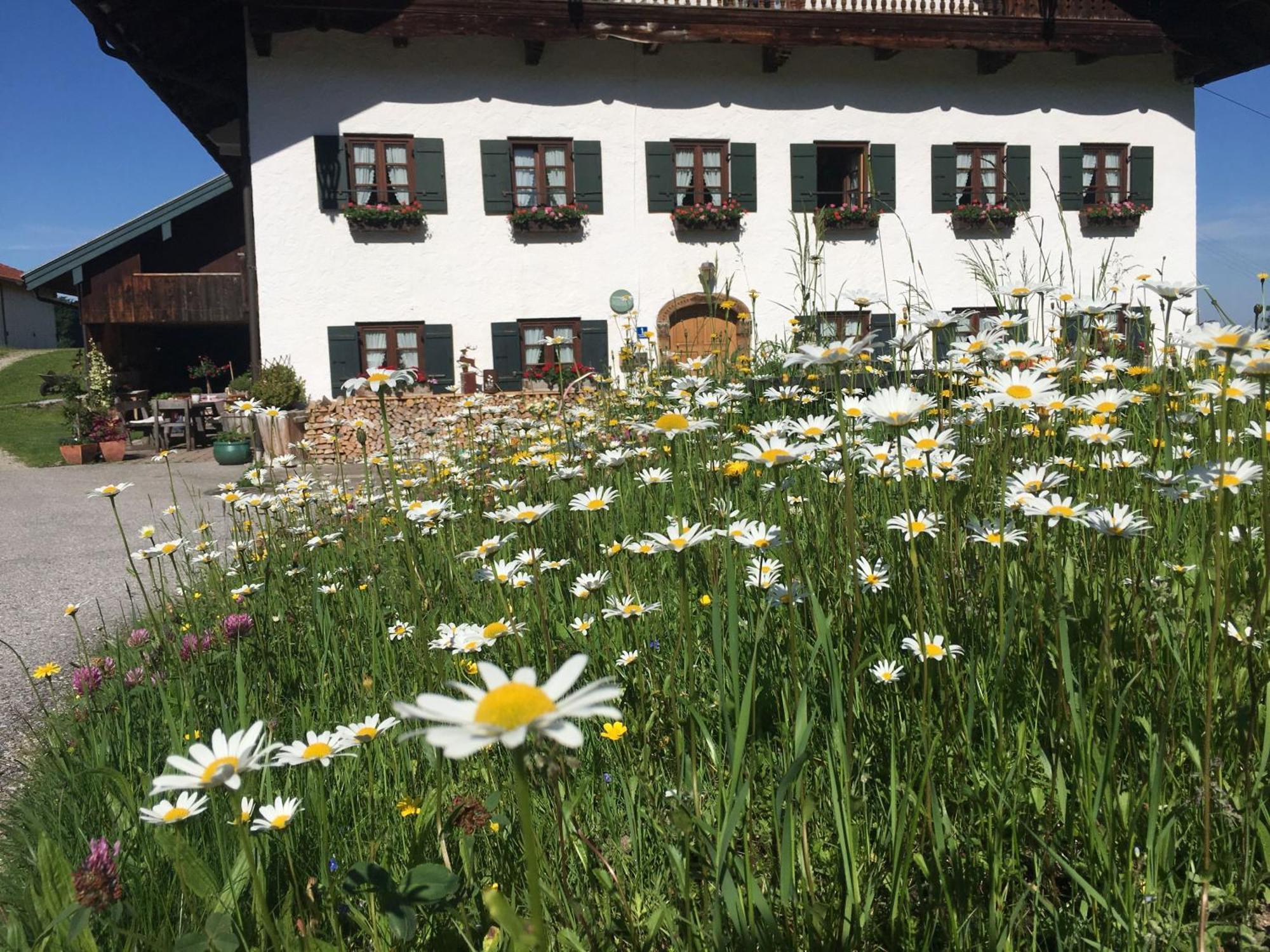 Stadlerhof ฟราสดอร์ฟ ภายนอก รูปภาพ